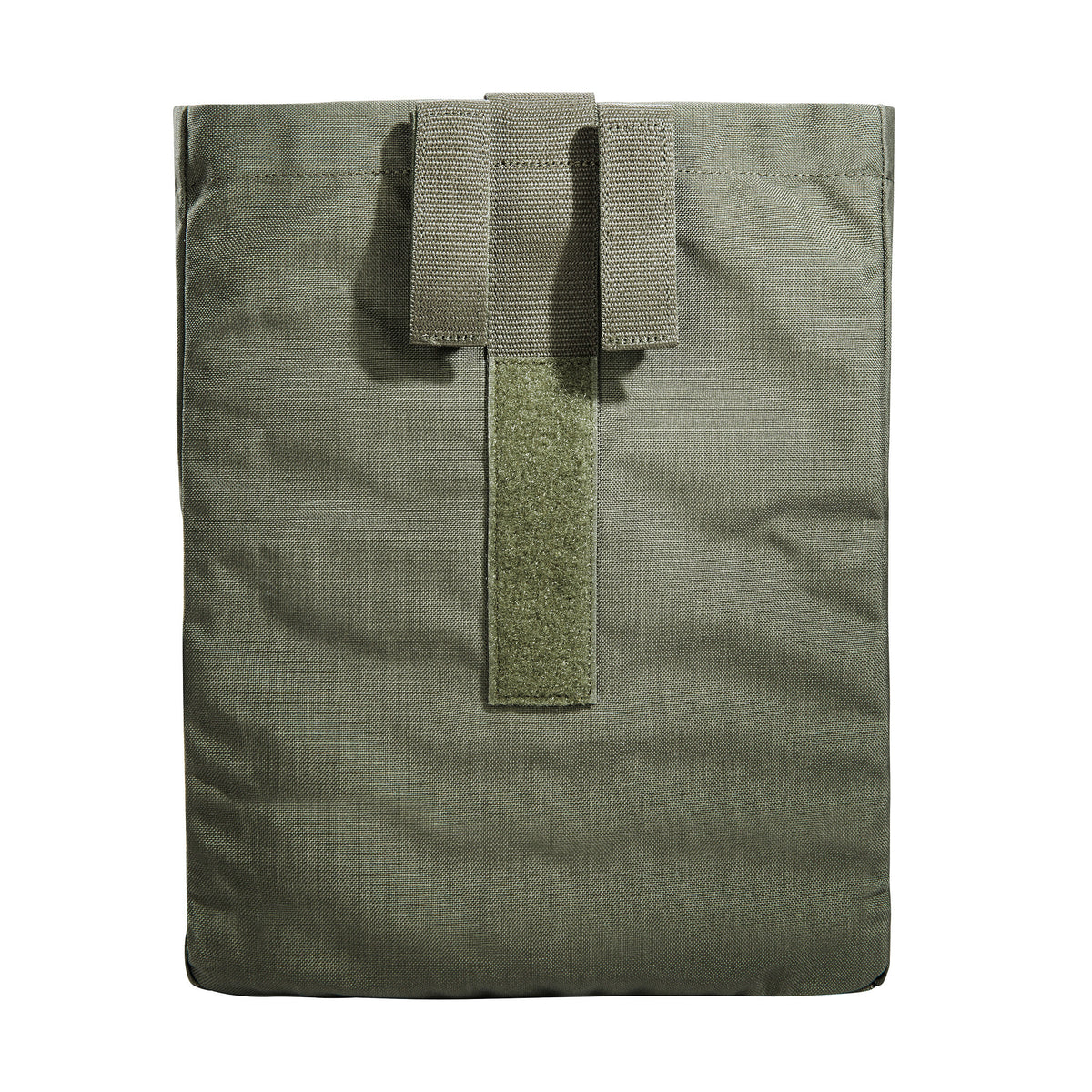 #couleur_stone grey olive
