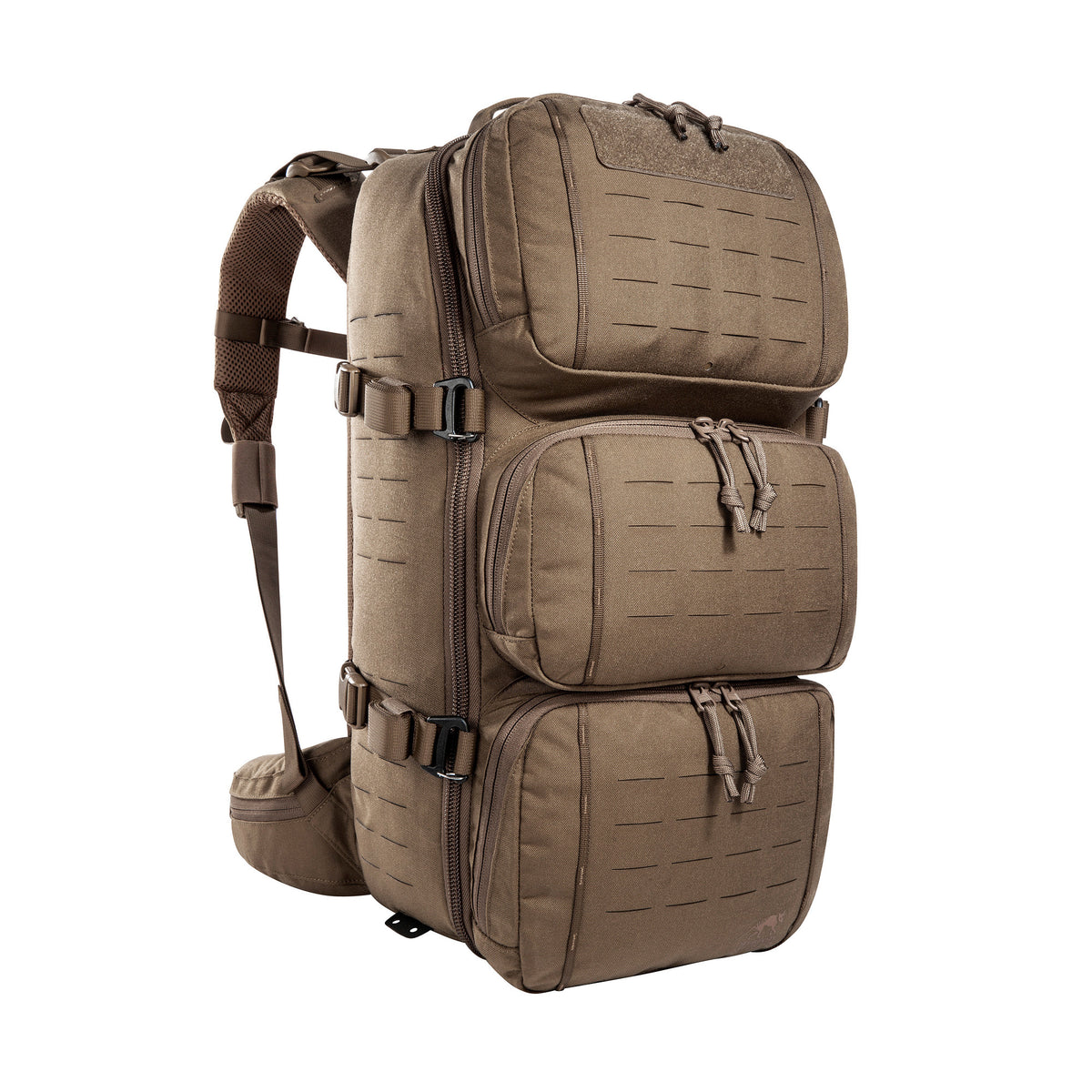 #couleur_coyote brown