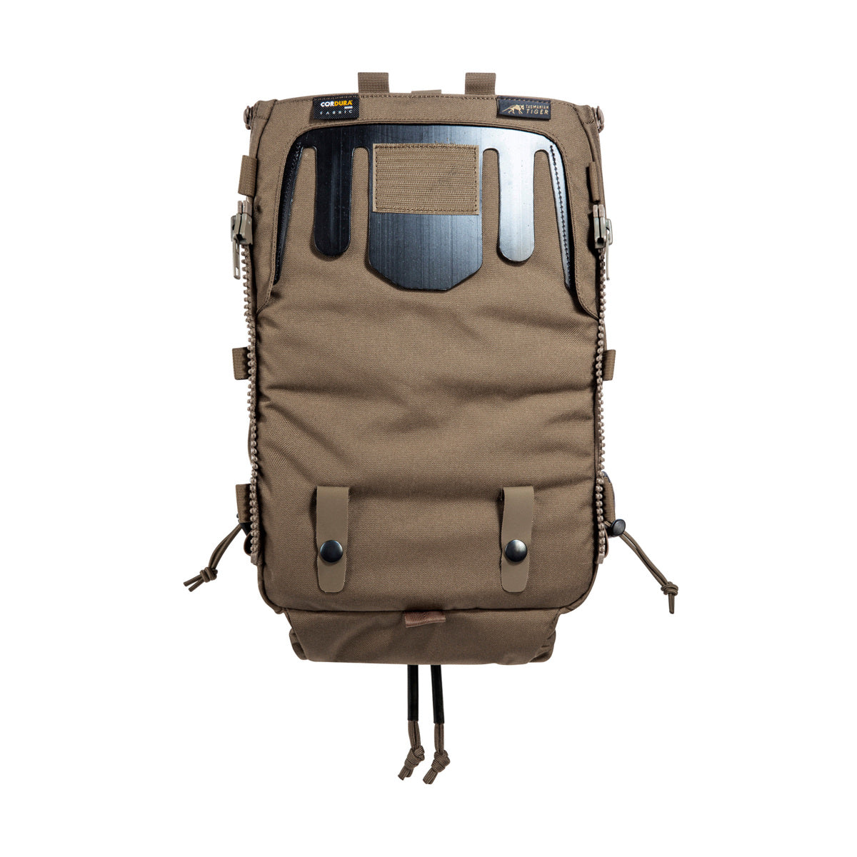 #couleur_coyote brown