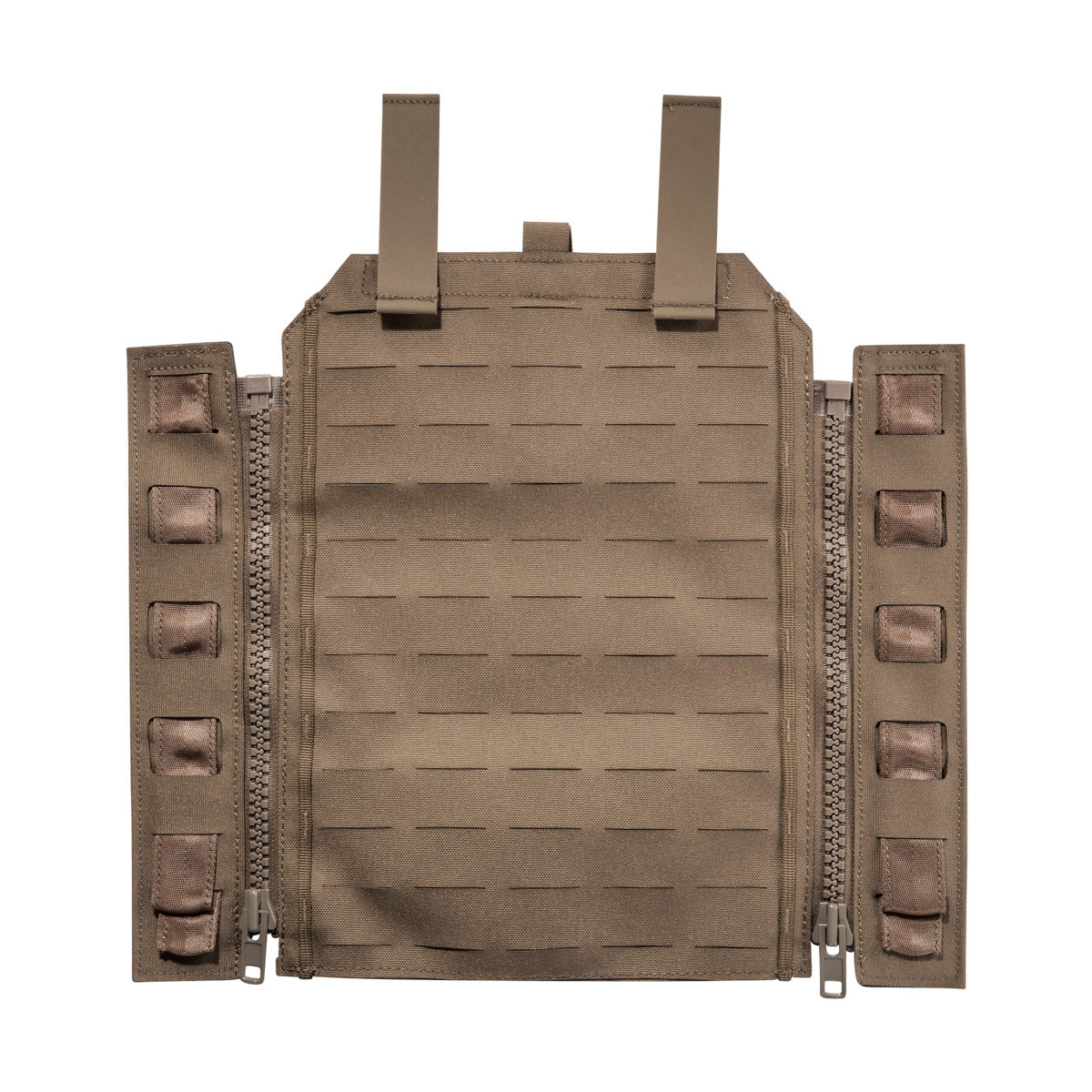 #couleur_coyote brown