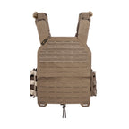 #couleur_coyote brown